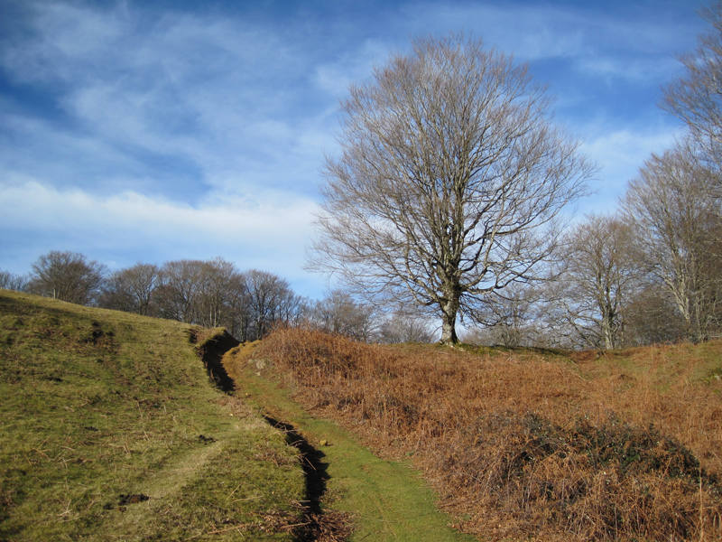 Entre las cumbres amables que trazan la muga entre los valles de Baztan y Aldude se encuentra la enigmática Harrikulunka. Cuentan que es en los días de fuerte viento, cuando la tempestad se cierne sobre las montañas del Pirineo, cuando esta gran piedra se balancea sin necesidad de que nadie la empuje. Su leyenda nos lleva hasta tiempos lejanos, cuando los míticos gentiles poblaban estas tierras. No hace falta viajar tan atrás para descubrir un pasado inquietante. Y es que hace solo un puñado de años, los senderos que hoy recorremos eran un continuo ir y venir de contrabandistas y guardias de fronteras