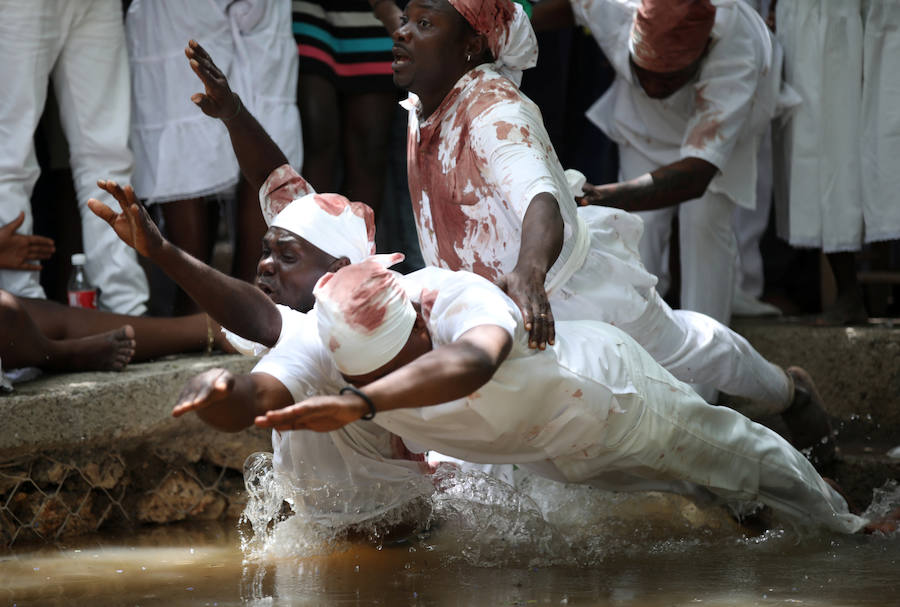 Los seguidores vudú siguen activos en Haití. Vestidos de blanco, sacrifican toros, gallinas o cabras y se untan el cuerpo con su sangre para sumergirse después en una piscina sagrada, llamada Loa, el espíritu que ayuda a gobernar el universo. 