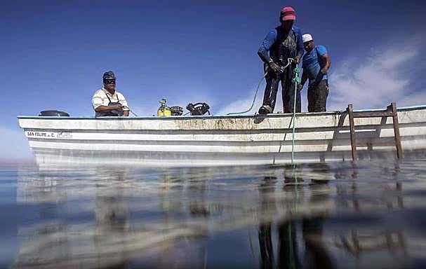 Pescadores en el Golfo de California. 