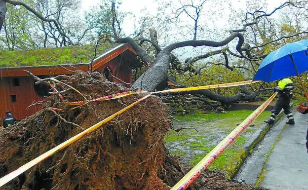 «El niño estaba atrapado boca abajo por una enorme rama y semiconsciente»