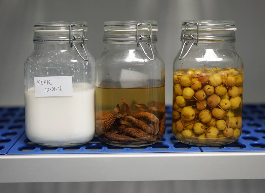 La investigación para la salud y la sostenibilidad, la innovación o el emprendizaje son ya parte integral de la gastronomía, tanto que el Basque Culinary Center ha pasado a integrar la Red Vasca de Ciencia, Tenología e Innovación.