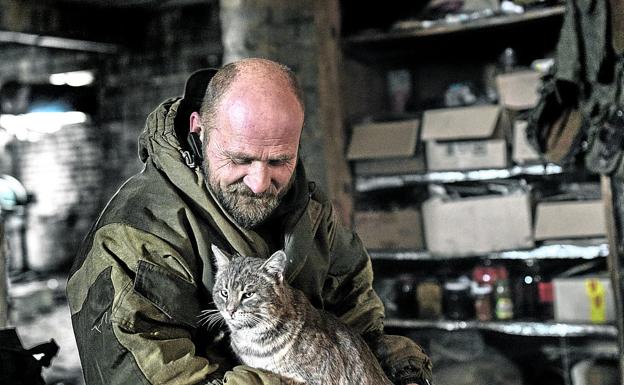 Un soldado acaricia a un gato en la línea del frente, donde abundan las mascotas como entretenimiento contra el tedio.