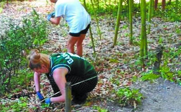 Participantes en un campo de voluntariado juvenil.