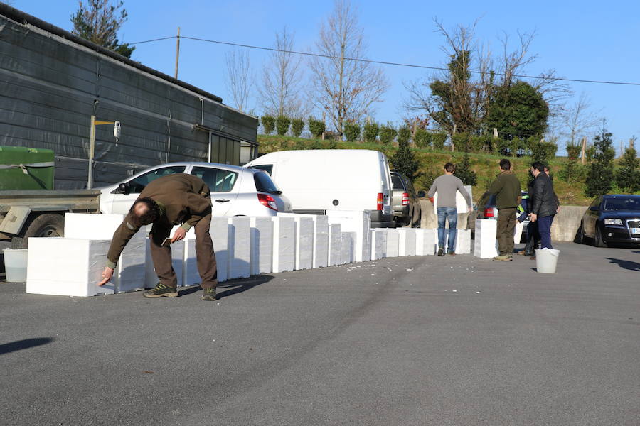 Se intensifican las operaciones de contrabando de esta especie en extinción