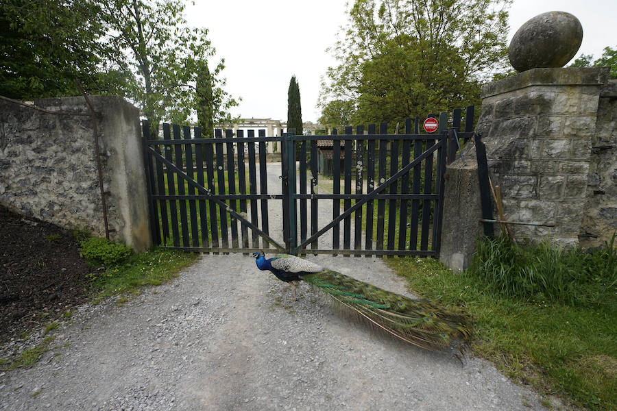 El palacete de Villa Arnaga, en Kanbo fue el resultado de un sueño hecho realidad, el del retiro vasco de Edmon Rostand, autor de la célebre 'Cyrano de Bergerac'. Se trata de un lugar emblemático: el palacete de estilo neo vasco que mandó construir por Rostand en 1903, tres años después de establecerse en esta localidad termal para tratarse la pleuresía que padecía.