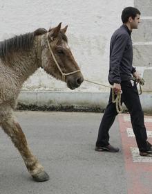Imagen secundaria 2 - Entre la facultad de ingeniería y los pastos de Aralar