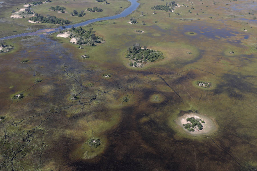 El delta del río Okavango es Patrimonio Mundial. Ejemplo único de interacción de procesos climáticos, hidrológicos y biológicos, se sitúa al noroeste de Botswana y está formado por una planicie de pantanos permanentes y praderas que se inundan de manera estacional. Se trata de un complejo de zonas húmedas prácticamente intacto. Es uno de los pocos sistemas de deltas interiores del mundo que carece de desembocadura al mar.