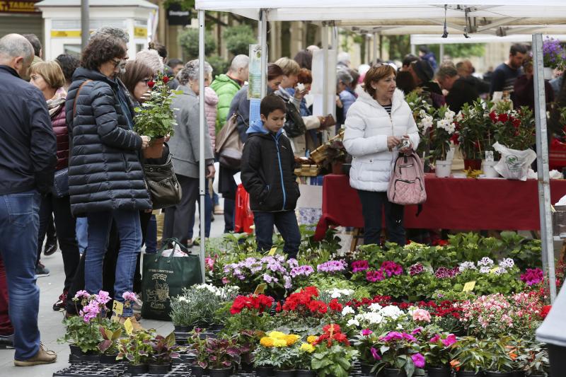 En la Calle Loiola de Donostia se celebra la IX Feria de flores y plantas, compuesta de varios puestos donde exponen flores y plantas para balcones, arte floral, arbustos, plantas aromáticas y culinarias, semillas, accesorios florales, productos de cosmética y medicina natural, entre otros. 