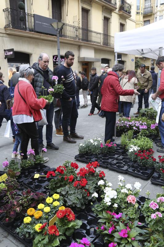 En la Calle Loiola de Donostia se celebra la IX Feria de flores y plantas, compuesta de varios puestos donde exponen flores y plantas para balcones, arte floral, arbustos, plantas aromáticas y culinarias, semillas, accesorios florales, productos de cosmética y medicina natural, entre otros. 
