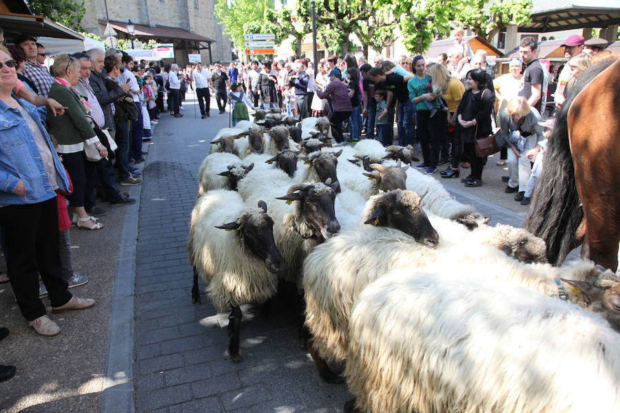 Idiazabal ha vivido este domingo una nueva edición de la Feria del Queso Vasco.