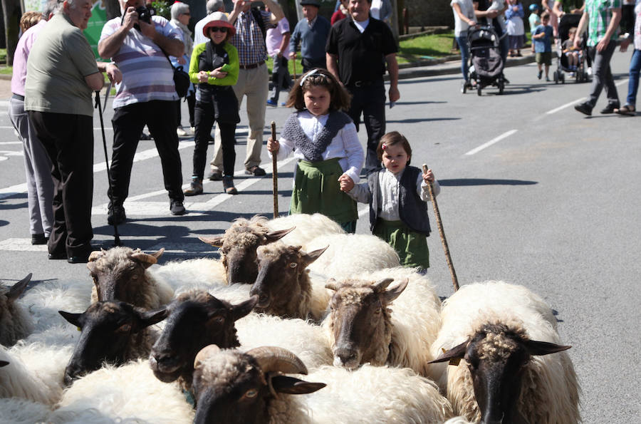 Idiazabal ha vivido este domingo una nueva edición de la Feria del Queso Vasco.