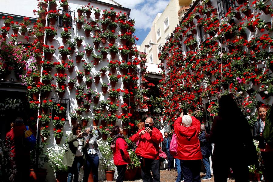 Córdboa vive estos días su tradicional fiesta de los patios, que llena de aroma y color sus calles con multicolores flores. El evento atrae a miles de turistas cada año.