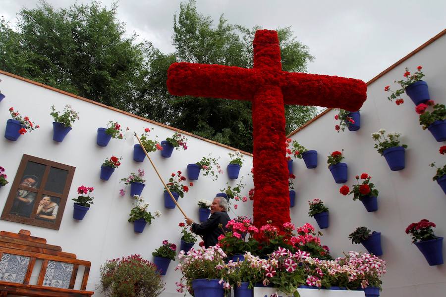 Córdboa vive estos días su tradicional fiesta de los patios, que llena de aroma y color sus calles con multicolores flores. El evento atrae a miles de turistas cada año.