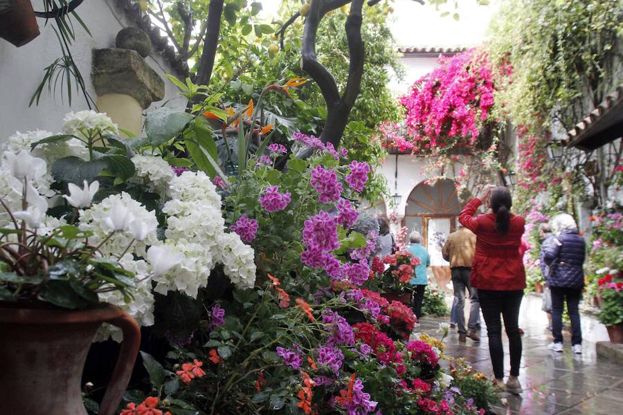 Córdboa vive estos días su tradicional fiesta de los patios, que llena de aroma y color sus calles con multicolores flores. El evento atrae a miles de turistas cada año.
