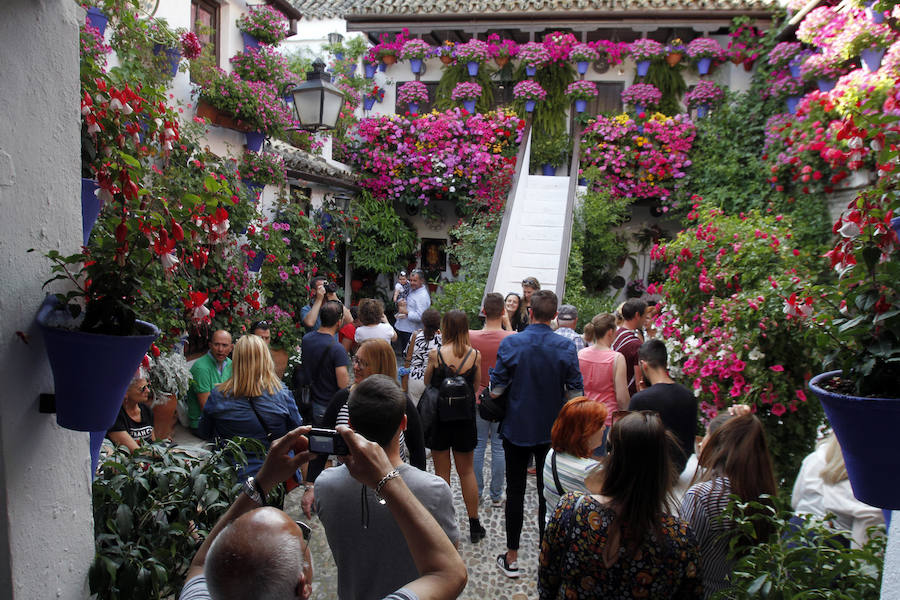 Córdboa vive estos días su tradicional fiesta de los patios, que llena de aroma y color sus calles con multicolores flores. El evento atrae a miles de turistas cada año.