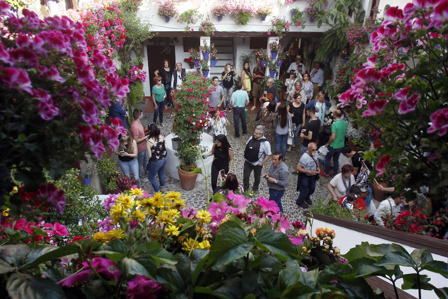 Córdboa vive estos días su tradicional fiesta de los patios, que llena de aroma y color sus calles con multicolores flores. El evento atrae a miles de turistas cada año.