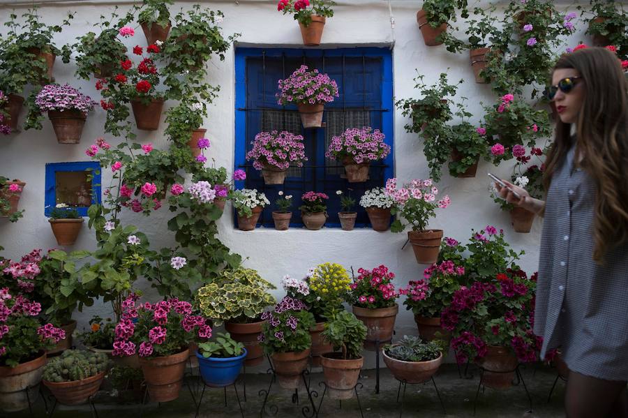Córdboa vive estos días su tradicional fiesta de los patios, que llena de aroma y color sus calles con multicolores flores. El evento atrae a miles de turistas cada año.