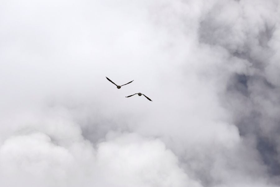 La nube de cenizas de unos 3.650 metros de altura del volcán Kilauea, que entró en erupción hace ya doce días, ha provocado una alerta roja en la isla de Hawái.