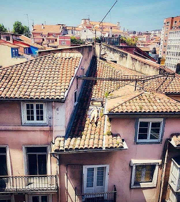 Una vecina de Santander se juega la vida para tomar el sol
