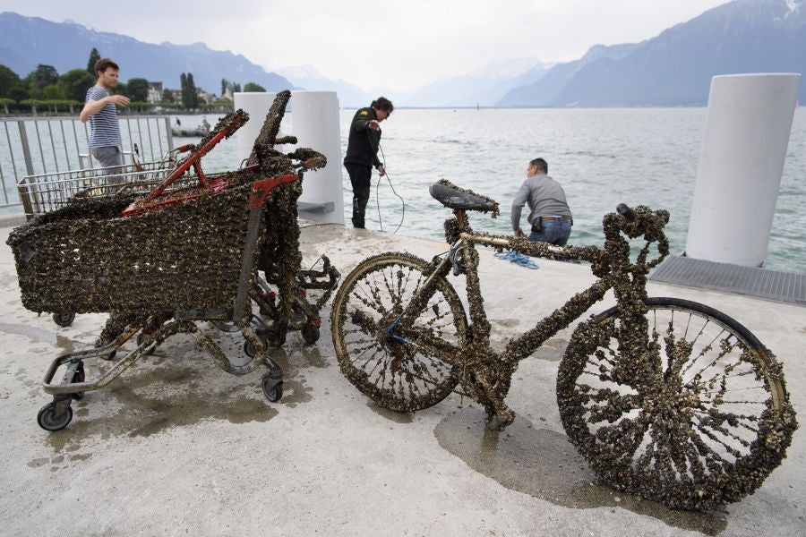 Imágenes tomadas durante la novena edición del evento de limpieza 'Net'Leman' , en Vevey, Suiza. El Net'Leman es un evento de un día en el que los voluntarios limpian el lago de Ginebra y sus costas. Este año la protagonista es una bicicleta cubierta de mejillones.