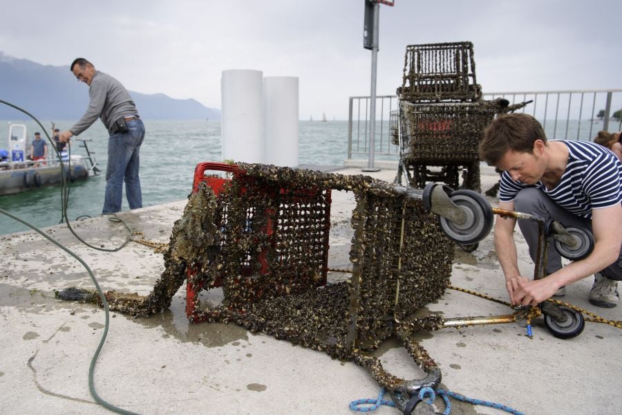 Imágenes tomadas durante la novena edición del evento de limpieza 'Net'Leman' , en Vevey, Suiza. El Net'Leman es un evento de un día en el que los voluntarios limpian el lago de Ginebra y sus costas. Este año la protagonista es una bicicleta cubierta de mejillones.