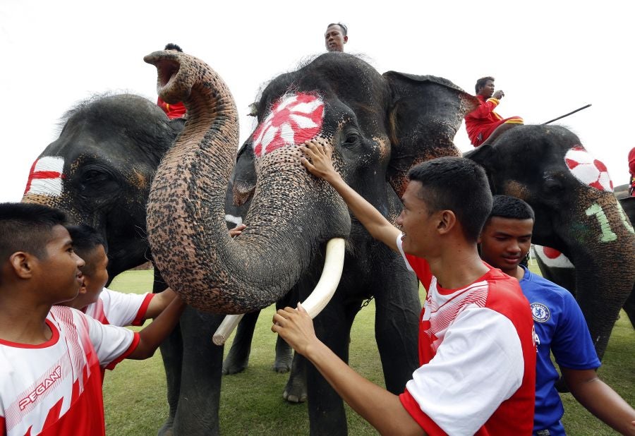 En Ayutthaya, al norte de Bangkok, han organizado este curioso partido de fútbol entre elefantes para promocionar el Mundial que arranca este mismo viernes