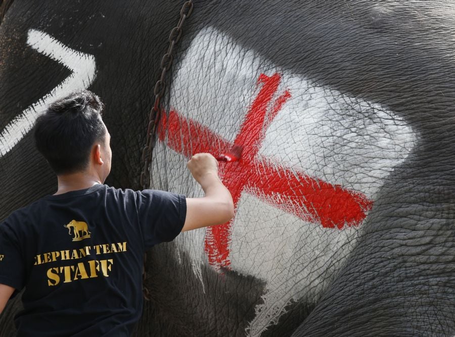 En Ayutthaya, al norte de Bangkok, han organizado este curioso partido de fútbol entre elefantes para promocionar el Mundial que arranca este mismo viernes