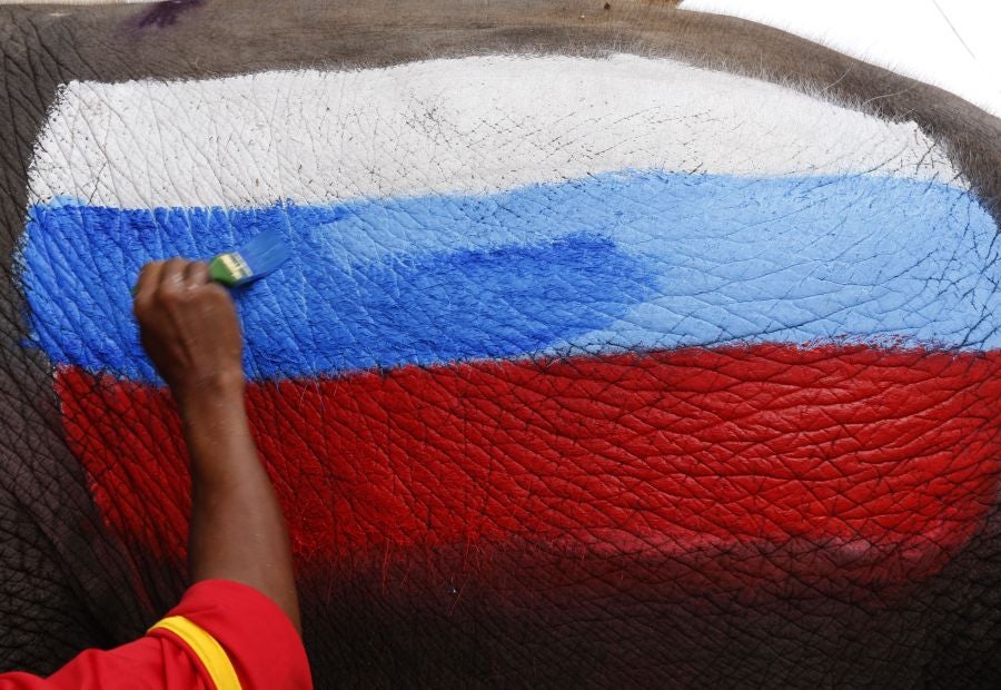 En Ayutthaya, al norte de Bangkok, han organizado este curioso partido de fútbol entre elefantes para promocionar el Mundial que arranca este mismo viernes