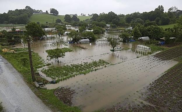 Algunas huertas de Hondarribia han quedado cubiertas por la lluvia