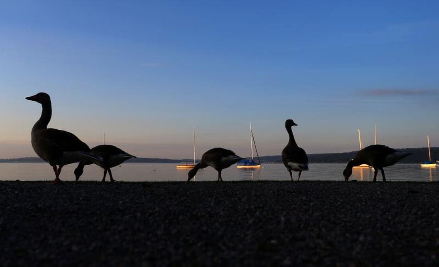 Por fin llega el sol, pero solo por unos días
