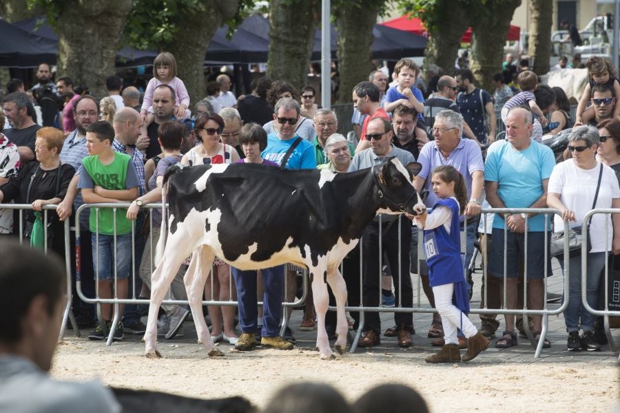 A pesar de lo largo e intenso que fue el sábado en Irun, durante el día grande de los sanmarciales, la ciudad volvió a echarse a la calle ayer para poner el broche de oro a más de una semana de festejos. La plaza Urdanibia fue, un año más, el epicentro del programa del último día de las fiestas de San Pedro y San Marcial.