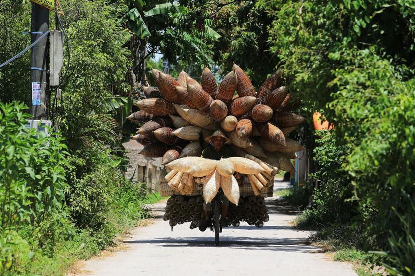 La aldea de Thu Sy, en Vietnam, es famosa por su costumbre de tejer macetas para pescar siendo una de sus mayores fuentes de ingresos.