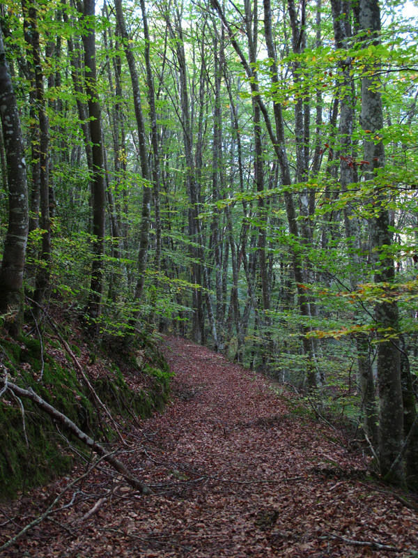 Las cuevas artificiales que los visigodos abrieron en Araba se convirtieron en necrópolis medievales con tumbas antropomorphas