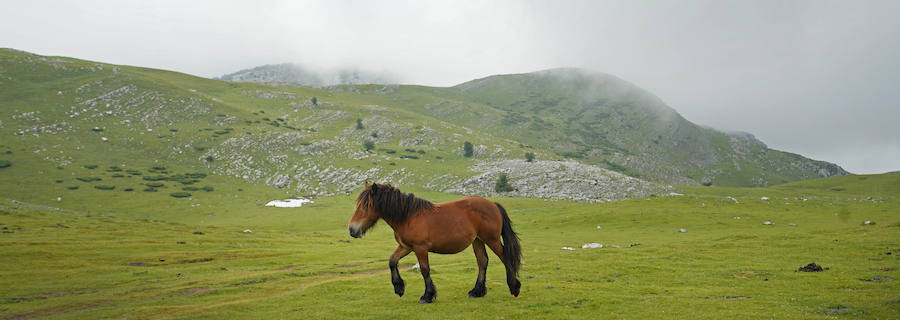 Lo que estaba catalogado como «túmulo» ha resultado ser una edificación -de planta aparentemente octogonal- que data de la época de los romanos. Concretamente, de entre los siglos I y III de nuestra era.