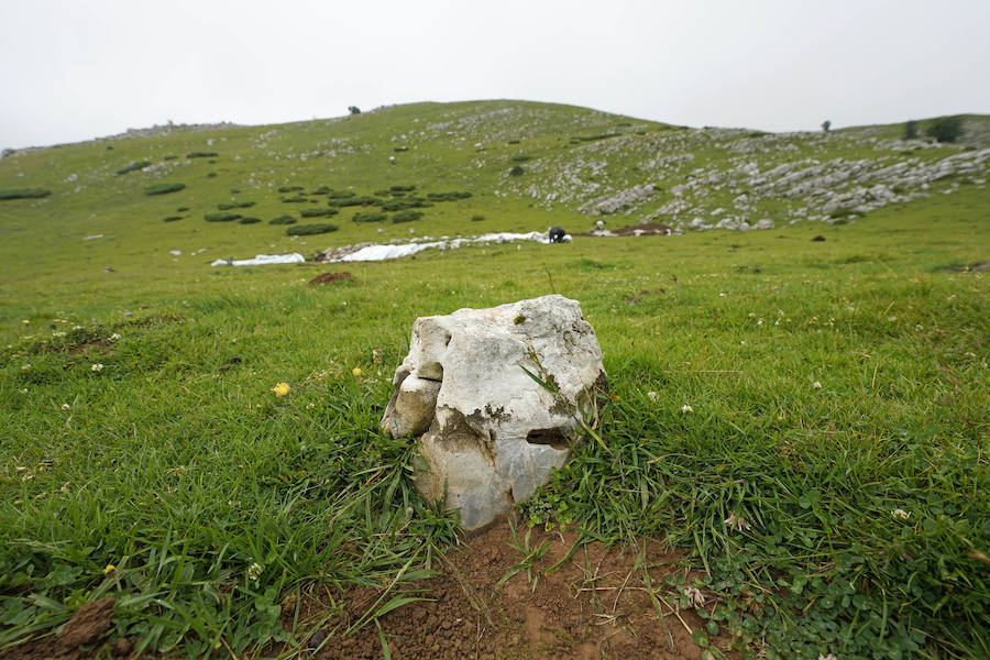 Lo que estaba catalogado como «túmulo» ha resultado ser una edificación -de planta aparentemente octogonal- que data de la época de los romanos. Concretamente, de entre los siglos I y III de nuestra era.