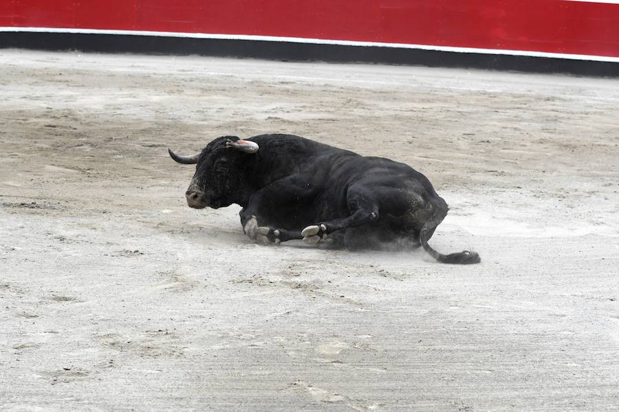 El diestro Pepe Moral fue el gran protagonista en el cierre de los sanignacios de Azpeitia por las dos grandes faenas que firmó a los dos toros con opciones de una desigual corrida de Cuadri, labores que, al final, quedaron sin premio por su mala tarde con los aceros