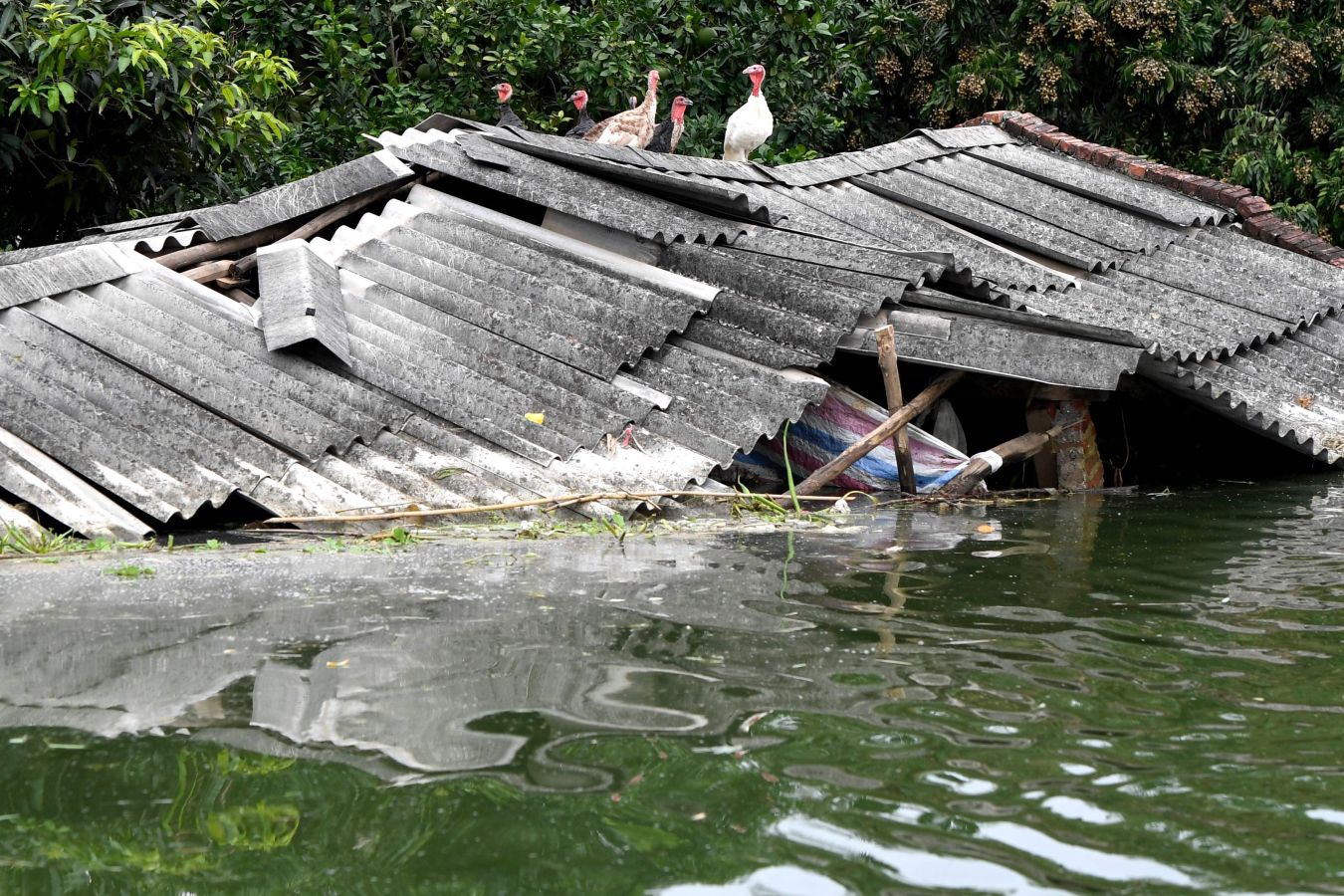 El municipio de Nam Phuong Tien, distrito de Chuong My en Hanói inundado el 30 de julio de 2018. Las fuertes lluvias de la semana pasada provocaron inundaciones en más de 600 casas del distrito, y alrededor de 830 hogares permanecen incomunicados, informaron hoy medios locales.