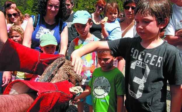 Los más jóvenes disfrutaron con las aves recuperadas por Arrano Etxea el pasado mes. 