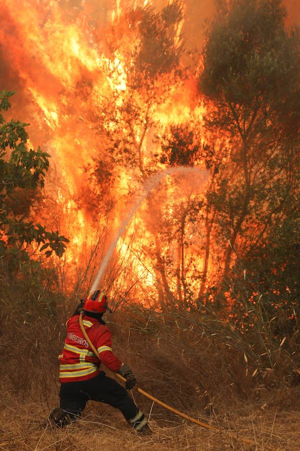 El incendio del Algarve portugués continúa su avance alimentado por el viento y la complicada orografía del terreno, donde más de un millar de bomberos buscan la fórmula para frenarlo tras quemar miles de hectáreas.