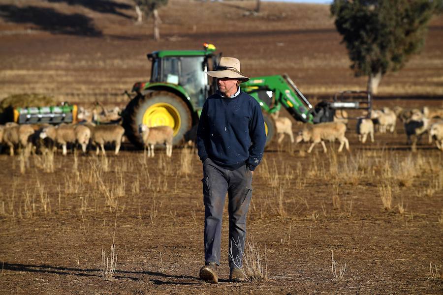 Australia vive, en pleno invierno austral una de las peores sequías en las últimas décadas. Afecta al este y sureste del país en todo el territorio de Nueva Gales del Sur, que es 1,5 veces más grande que España, y a cerca del 60% de su vecino Queensland, que mide casi tanto como México.