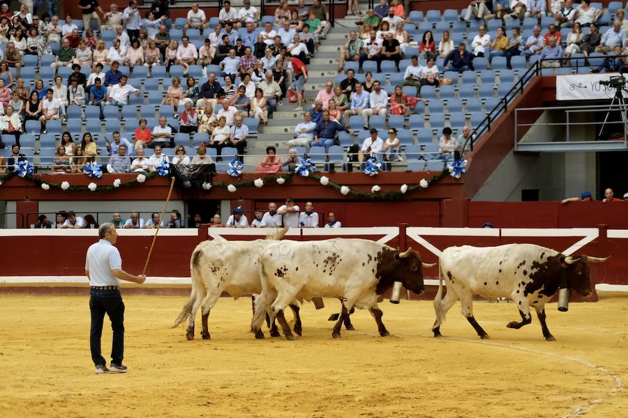 La ausencia de Cayetano ha convertido la corrida en un mano a mano entre Roca Rey y Enrique Ponce