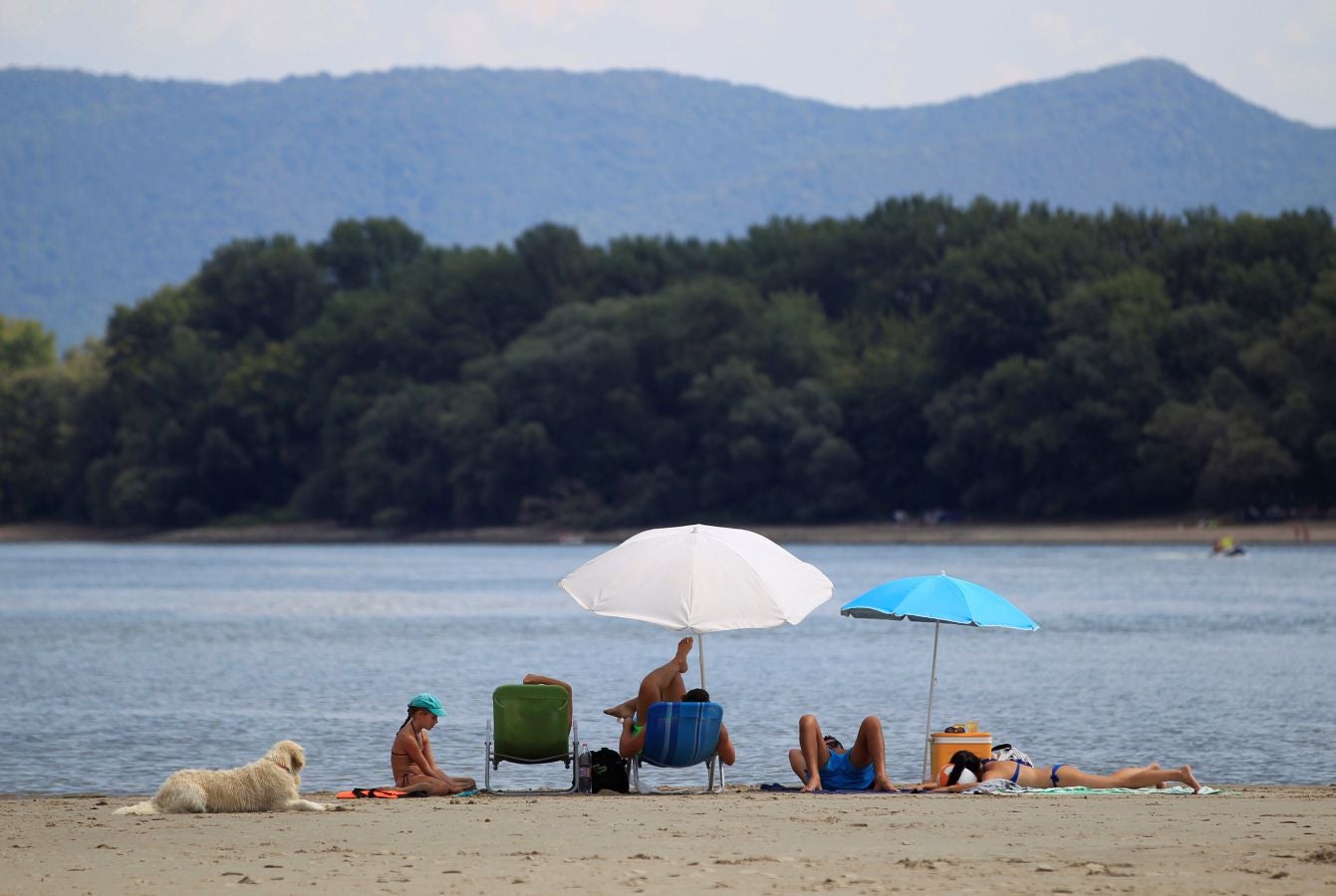 El seco y caluroso verano que está sufriendo Europa unido a la escasez de lluvias en Austria y Alemania ha dejado unos niveles de agua en el Danubio inusualmente bajos. 20 buques de pasajeros esperan en el puerto de Viena a que las lluvias previstas para el fin de semana les permitan continuar su trayecto.