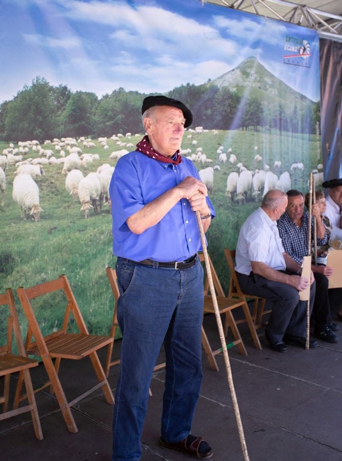 El Artzain Eguna de Gipuzkoa ha cumplido este domingo 28 años celebrándose en el centro de Legazpi, con la flor y nata del pastoreo del territorio como protagonistas.