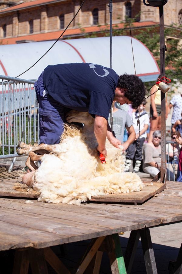 El Artzain Eguna de Gipuzkoa ha cumplido este domingo 28 años celebrándose en el centro de Legazpi, con la flor y nata del pastoreo del territorio como protagonistas.