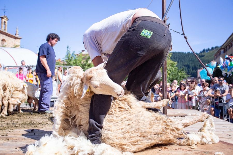 El Artzain Eguna de Gipuzkoa ha cumplido este domingo 28 años celebrándose en el centro de Legazpi, con la flor y nata del pastoreo del territorio como protagonistas.