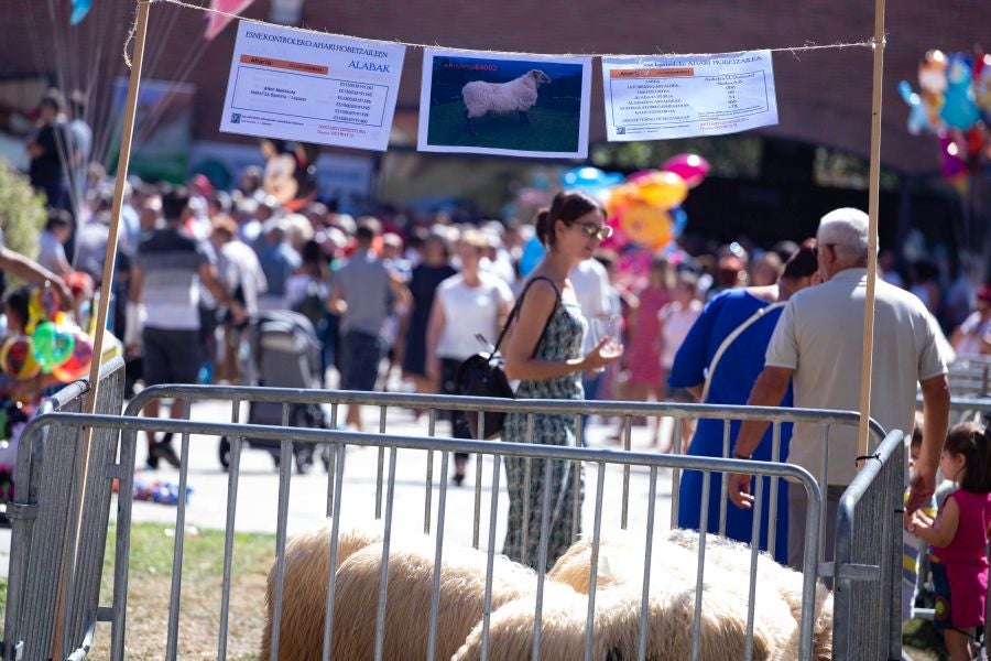 El Artzain Eguna de Gipuzkoa ha cumplido este domingo 28 años celebrándose en el centro de Legazpi, con la flor y nata del pastoreo del territorio como protagonistas.