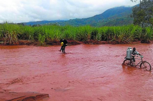 Las lluvias torrenciales se llevaron las cosechas. 