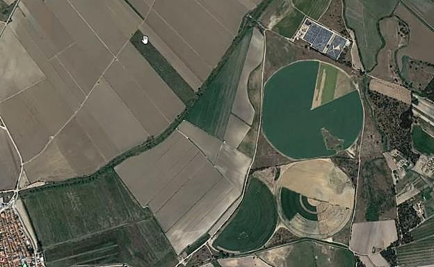 Reforma de Anoeta: El origen del césped