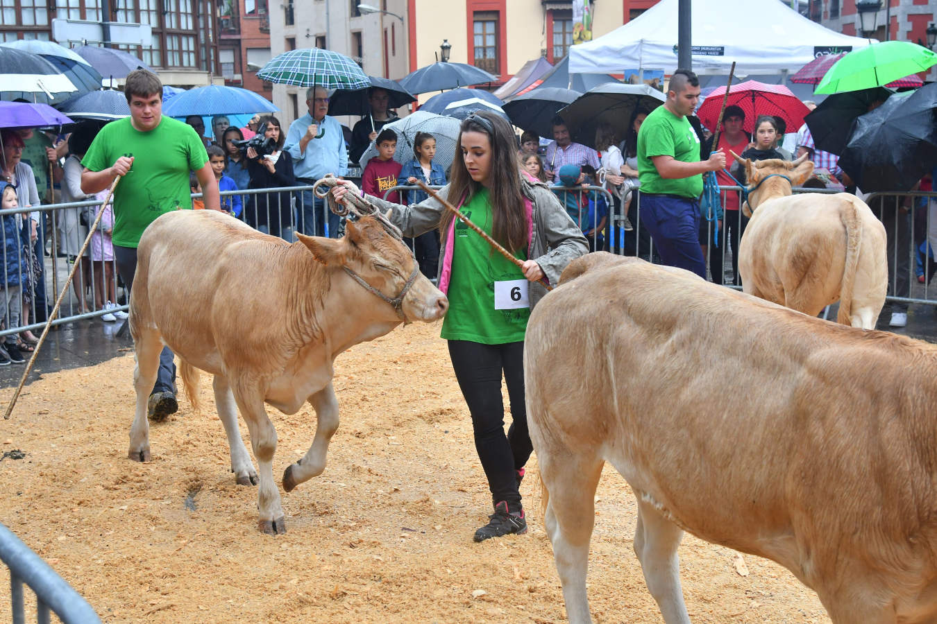 8.750 euros es lo que se ha pagado por el medio queso ganador de Ordizia. La localidad del Goierri ha acogido el tradicional concurso de queso Idiazabal