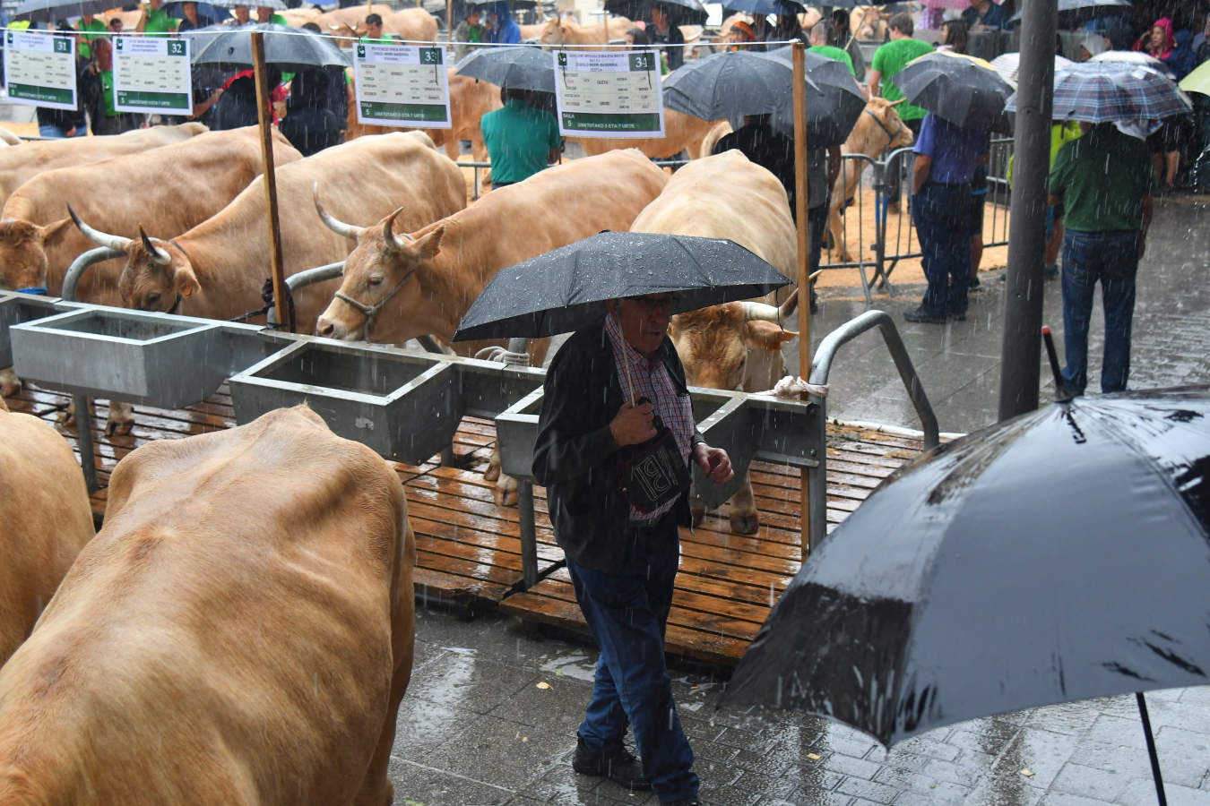 8.750 euros es lo que se ha pagado por el medio queso ganador de Ordizia. La localidad del Goierri ha acogido el tradicional concurso de queso Idiazabal